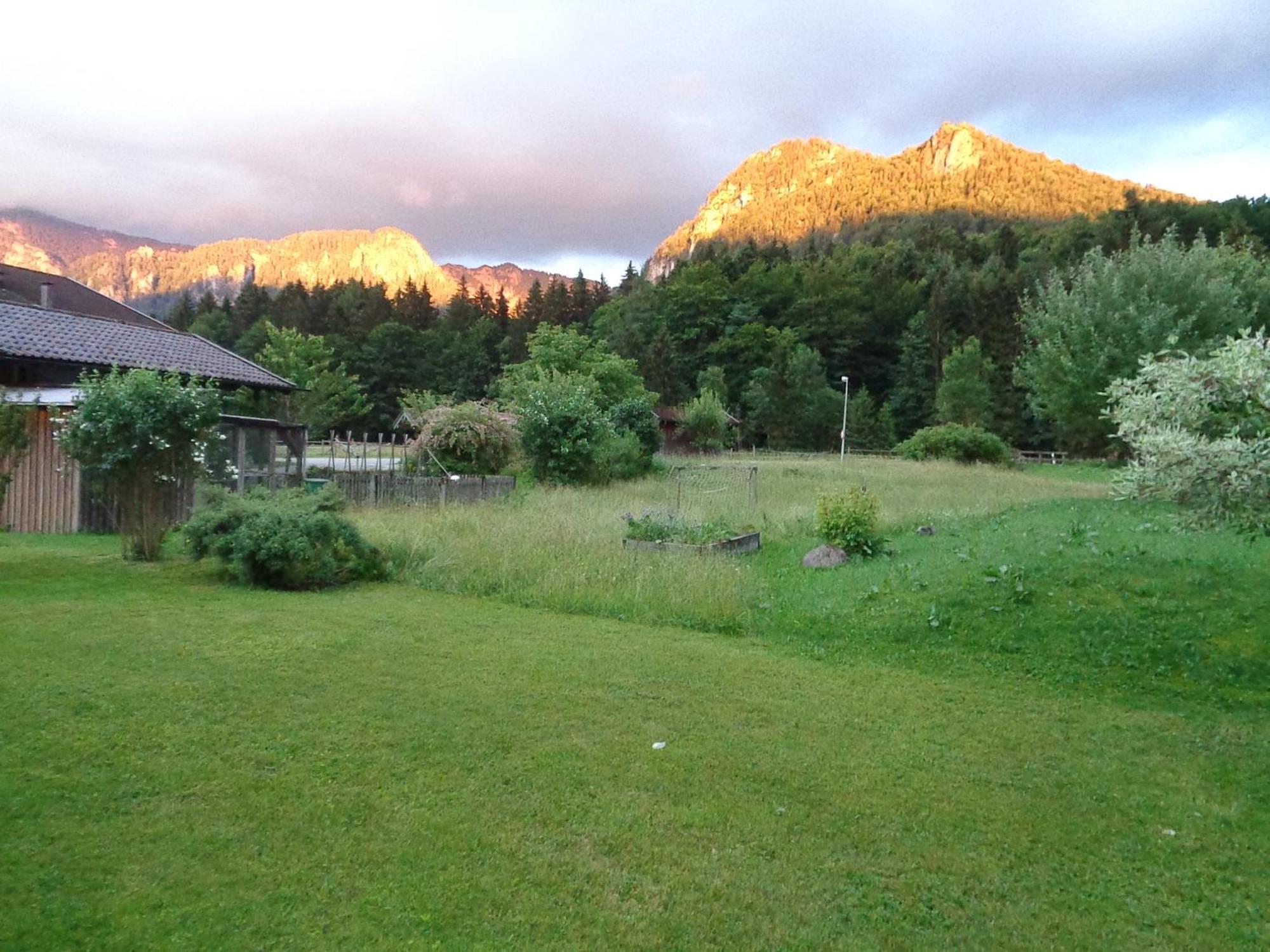 Ferienwohnungen Lackner - Chiemgau Karte 因泽尔 外观 照片